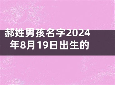 郝姓男孩名字2024年8月19日出生的