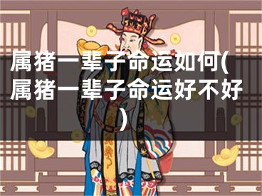 属猪一辈子命运如何(属猪一辈子命运好不好)