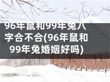 96年鼠和99年兔八字合不合(96年鼠和99年兔婚姻好吗)