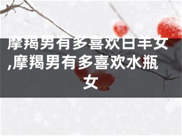 摩羯男有多喜欢白羊女,摩羯男有多喜欢水瓶女