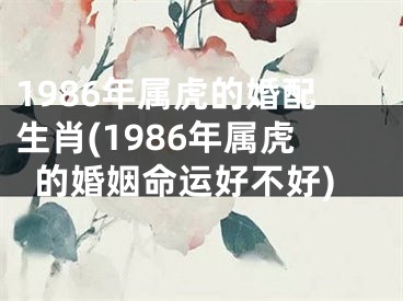1986年属虎的婚配生肖(1986年属虎的婚姻命运好不好)