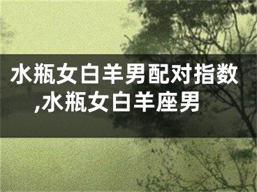 水瓶女白羊男配对指数,水瓶女白羊座男