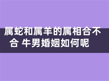 属蛇和属羊的属相合不合 牛男婚姻如何呢