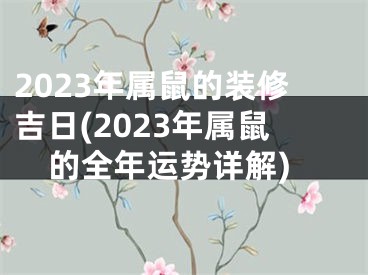 2023年属鼠的装修吉日(2023年属鼠的全年运势详解)