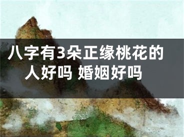 八字有3朵正缘桃花的人好吗 婚姻好吗