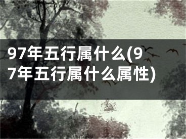 97年五行属什么(97年五行属什么属性)