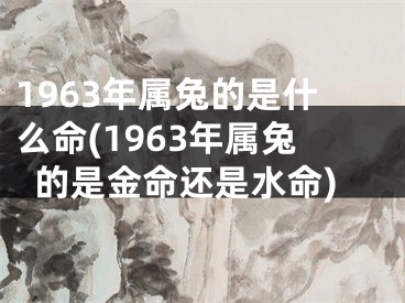 1963年属兔的是什么命(1963年属兔的是金命还是水命)