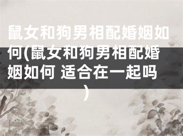鼠女和狗男相配婚姻如何(鼠女和狗男相配婚姻如何 适合在一起吗)