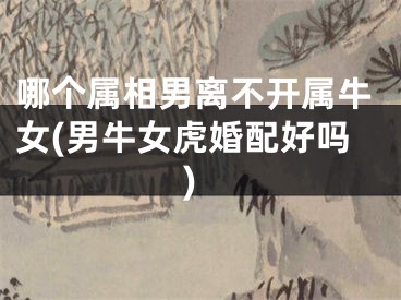 哪个属相男离不开属牛女(男牛女虎婚配好吗)