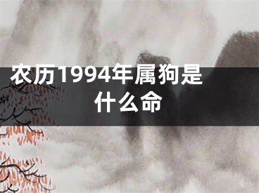 农历1994年属狗是什么命