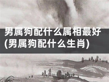 男属狗配什么属相最好(男属狗配什么生肖)