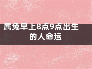 属兔早上8点9点出生的人命运
