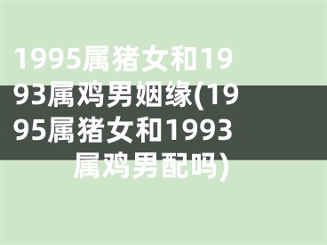 1995属猪女和1993属鸡男姻缘(1995属猪女和1993属鸡男配吗)