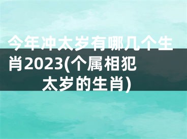 今年冲太岁有哪几个生肖2023(个属相犯太岁的生肖)
