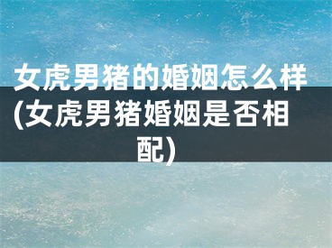 女虎男猪的婚姻怎么样(女虎男猪婚姻是否相配)