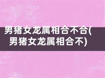 男猪女龙属相合不合(男猪女龙属相合不)