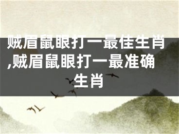 贼眉鼠眼打一最佳生肖,贼眉鼠眼打一最准确生肖