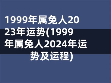 1999年属兔人2023年运势(1999年属兔人2024年运势及运程)