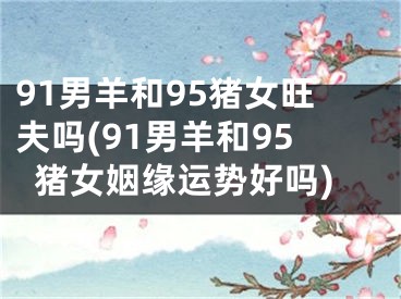 91男羊和95猪女旺夫吗(91男羊和95猪女姻缘运势好吗)