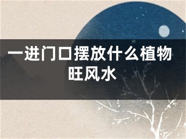 一进门口摆放什么植物旺风水