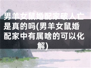 男羊女鼠婚配家破人亡是真的吗(男羊女鼠婚配家中有属啥的可以化解)