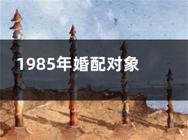 1985年婚配对象