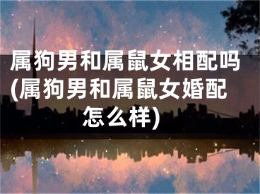 属狗男和属鼠女相配吗(属狗男和属鼠女婚配怎么样)