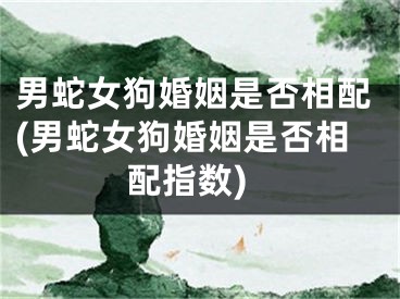 男蛇女狗婚姻是否相配(男蛇女狗婚姻是否相配指数)
