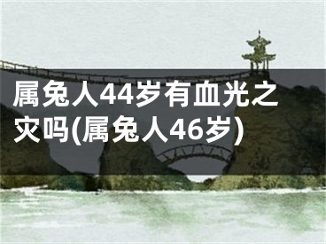 属兔人44岁有血光之灾吗(属兔人46岁)