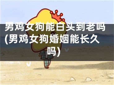 男鸡女狗能白头到老吗(男鸡女狗婚姻能长久吗)