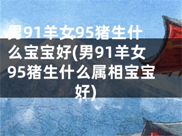 男91羊女95猪生什么宝宝好(男91羊女95猪生什么属相宝宝好)