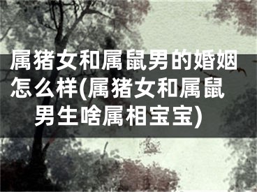 属猪女和属鼠男的婚姻怎么样(属猪女和属鼠男生啥属相宝宝)