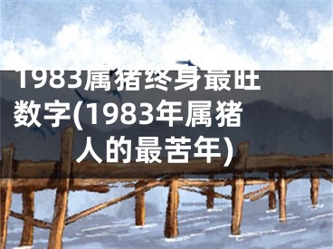 1983属猪终身最旺数字(1983年属猪人的最苦年)