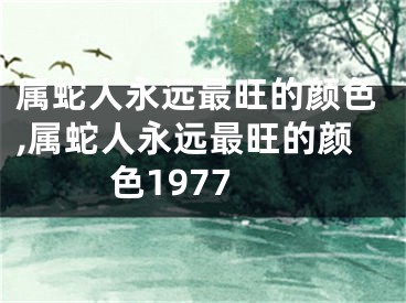 属蛇人永远最旺的颜色,属蛇人永远最旺的颜色1977