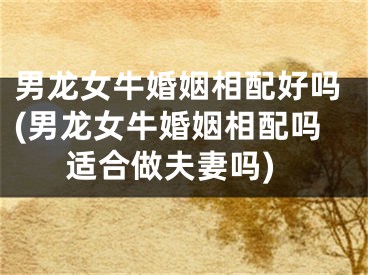 男龙女牛婚姻相配好吗(男龙女牛婚姻相配吗适合做夫妻吗)