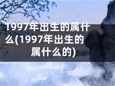 1997年出生的属什么(1997年出生的属什么的)