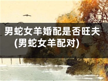 男蛇女羊婚配是否旺夫(男蛇女羊配对)