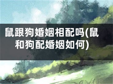 鼠跟狗婚姻相配吗(鼠和狗配婚姻如何)