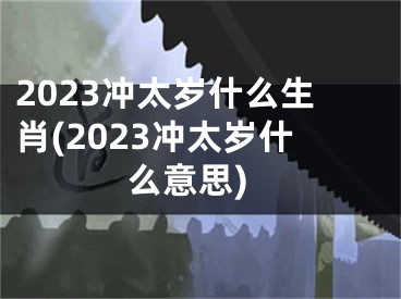 2023冲太岁什么生肖(2023冲太岁什么意思)