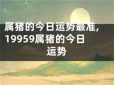 属猪的今日运势最准,19959属猪的今日运势