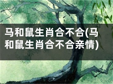 马和鼠生肖合不合(马和鼠生肖合不合亲情)