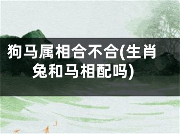狗马属相合不合(生肖兔和马相配吗)