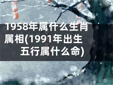 1958年属什么生肖属相(1991年出生五行属什么命)