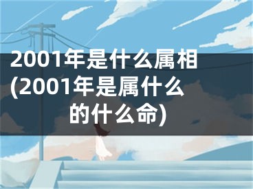 2001年是什么属相(2001年是属什么的什么命)