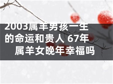 2003属羊男孩一生的命运和贵人 67年属羊女晚年幸福吗