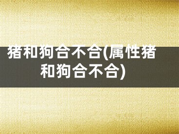 猪和狗合不合(属性猪和狗合不合)