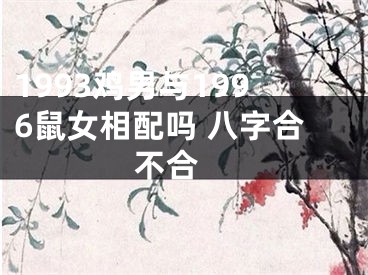 1993鸡男与1996鼠女相配吗 八字合不合 