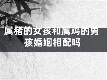 属猪的女孩和属鸡的男孩婚姻相配吗