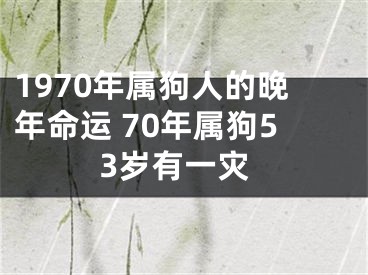 1970年属狗人的晚年命运 70年属狗53岁有一灾