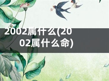 2002属什么(2002属什么命)